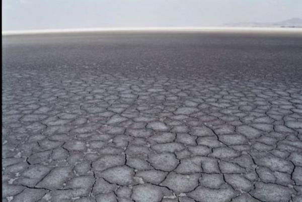 Scakln 1976 ylndan bu yana her yl ortalamann zerinde seyrettiini belirten yetkililer, son 50 yldaki scaklk artnda belirleyici faktrn, karbondioksit salm olduuna dikkat ekti.