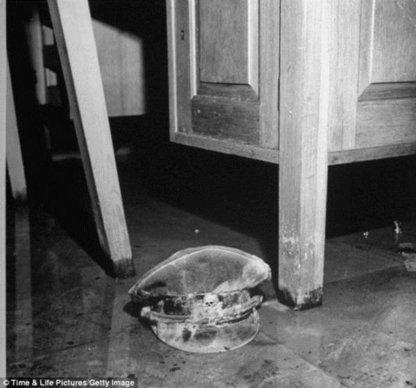 Bir SS kepi. zerinde bir kuru kafa amblemi var.