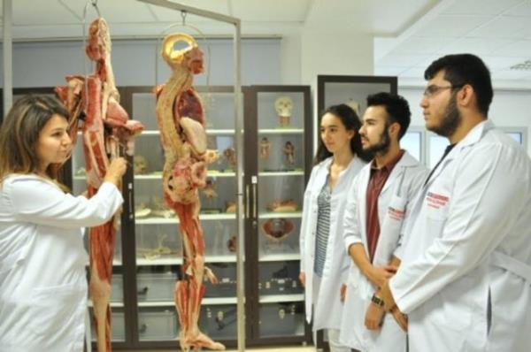 <p>MALTEPE NVERSTES</p>  <p>  YILLIK CRET (TL): 32.500</p>