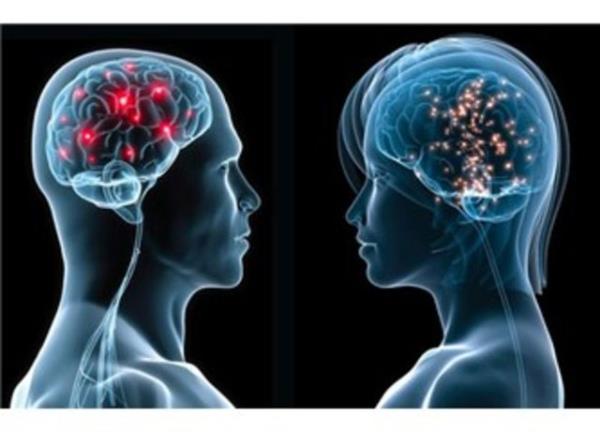 Tanrda, insan psikolojisinde ve sorunlarn zmnde mantn olduu kadar duygusal zekann da nemli olduunu aklad.