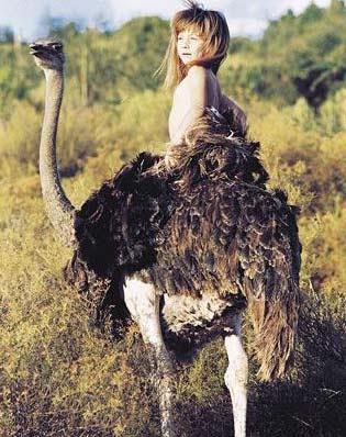 Fransa'daki modern hayattan sklp Afrika'ya yerleen fotoraf Alain Degre ve Sylvie iftinin ormanda doan ve 9 yana kadar hayvanlarn arasnda byyen kzlar Tippi'nin hayat pek ok kez haberlere konu olmutu.