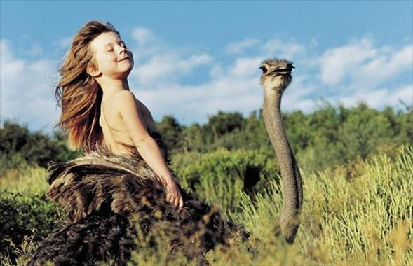 Tippi'nin en yakn arkadalar ise devekuu, abi dedii 30 yandaki fil Abu, birlikte len uykusuna yatt yavru leopar olur.