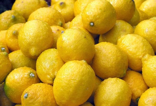 Tad hotur ve kemo-terapinin korkun etkilerini gstermez. Kemo-terapi ilalar retiminden fayda salayan multi-milyoner byk irketlerin karlarn riske atmamak adna bu gizemin zenle sakl tutulduu srece ne kadar insann lecei bilinmez.