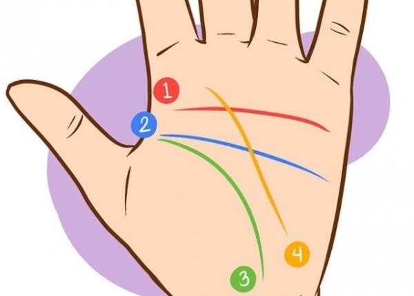 Eer izgi parmanzn tabanndan, dibinden balyorsa, bu sizin anlayl bir insan olduunuzu gsterir, eer izgi daha aasndan balyorsa, -daha ok elinizin ortasndan- bu sizin tam bir alma heveslisi ve materyalist biri olduunuzu gsterir, Bu kiiler duygusal adan gl kimseler olarak bilinir ve genellikle erkeklerde daha fazla grlr.