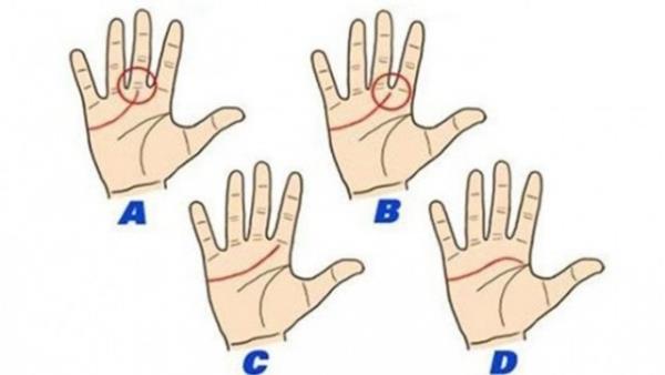 D: Eer kalp izginiz, iaret parmanzn ve ba parmanzn arasnda kavis iziyorsa, siz olduka sabrl, yardmsever, efkatli, iyi kalpli ve daima iyi niyetli birisiniz.