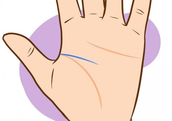 Kavisli ya da yuvarlak bir kalp izgisi dz olana gre daha scak, sevimli birini iaret eder.