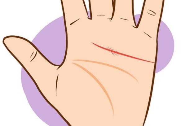 Bakalarna gvenmek sz konusu olduunda, olduka kukulu ve temkinli birisiniz, fakat insanlar size gveniyor...