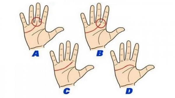 Kalp ve mantk arasndaki dengeyi ok iyi salyorsunuz. Ayrca, karar verirken saduyunuzu da kullanyorsunuz.