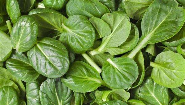 Yaprakl Yeiller  <br>  Folat depresyon riskini azaltabilir baka bir besindir. Ayn zamanda balk ya e deeri olan alfa linolenik asit ierirler. Yeil yaprakl (spanak ve marul gibi) sebzeler, baklagiller, fndk ve narenciyede bulunur.