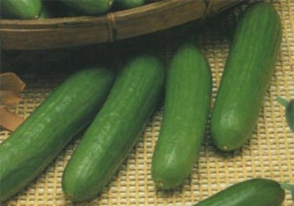 Salataln %96s sudur...