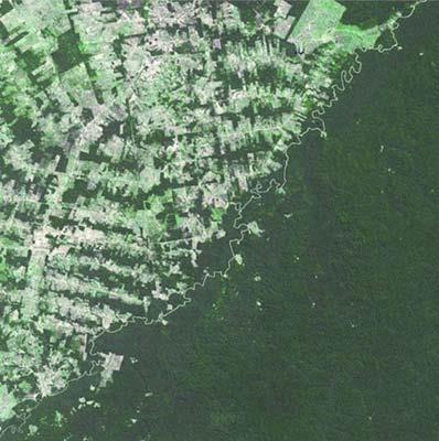 Brezilya - Bolivya              Brezilya a��k ye�il, Bolivya koyu ye�il. Do�al bir nehirle ayr�lm��lar ama ormanc�l�k kanunlar� iki �lke aras�ndaki fark� belirliyor.