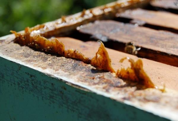 Hcrelerin yalanmas srasnda zarda oluan hasarlarla DNA zincirlerinde rastgele krlmalar ve balanmalar meydana gelebileceine dikkati eken Boyacolu, yle devam etti: