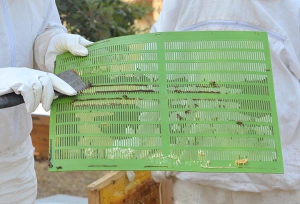 Bu ekilde firma, dorudan arclarla yapt anlama zerine kurulu olarak kontroll koullarda retilen propolisi ilemekte ve rn haline getirmekte.