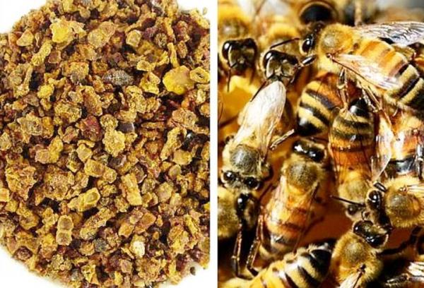 Antioksidanlar, kanser, sinir sistemi fonksiyonlarnn yitimi ve kalp damar rahatszlklar gibi hastalklarn olumasna yol aan bu serbest radikallerin vcuda verdikleri zarar nlemede en nemli grevi stlenir.