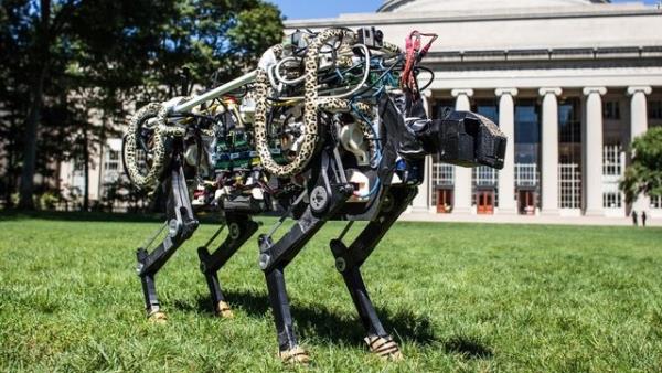 Robotun, kullanaca enerjinin ayarlanmas, havada iken ve yere indikten sonra dengesini koruyabilmesi, Kim ve ekibinin gelitirdii yazlmlarla gerekleiyor.