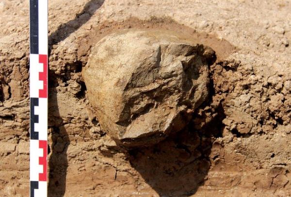 Harmand ve ekibinin, 5 yldr aranan 3,3 milyon yllk ta aletleri bulmas, nemli keifler arasnda yerini ald. alma, Nature Dergisi'nde yaymland.