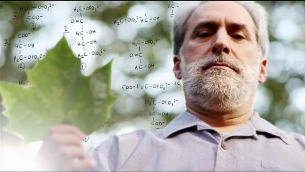 Ardndan, Ralstonia eutropha adl bakteri tarafndan hidrojen ile karbon dioksitin birletirilerek izopropanole dntrldn belirtti. Bu tr biyonik yapraklarla gne enerjisi kullanlarak baz vitamin ve ilalarn sentezlenebilecei akland. alma, Proceedings of the National Academy of Sciences'da yaymland.