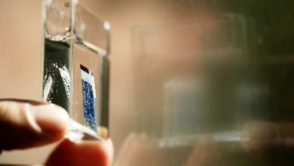 10) GNE ENERJS LE SIVI YAKIT RETEN BYONK YAPRAK