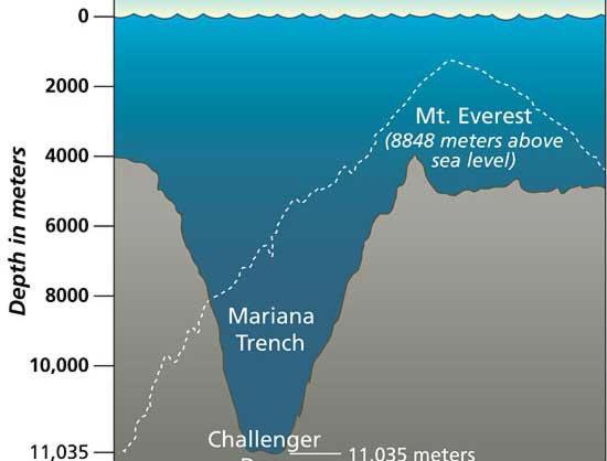 Okyanusta en derin yer Mariana adalarnn dousunda 10 923 m. ile Challenger ukurudur.