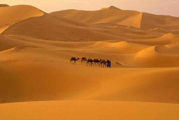 En byk l orta Kuzey Afrika&#8217;da 9.065.000 km2 ile Byk Sahra ldr.