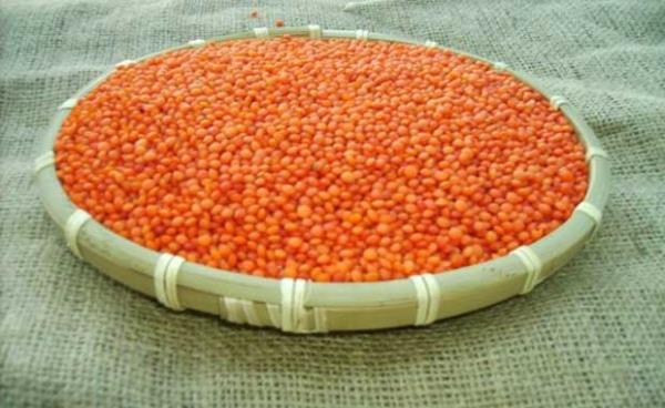 Mercimek  <br>  ili'de tam gece yars bir kak mercimek yiyenlerin btn ylnn i ve parayla dolu olacana inanlr.