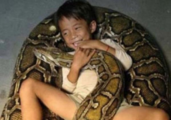 Son 4000 sene ierisinde herhangi yeni hayvan evcilletirilmemitir.