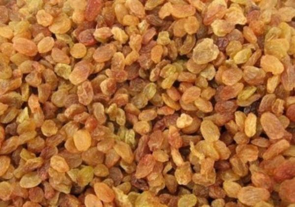 Bir bardak taze ampanyann iine bir kuru zm atarsanz zm asansr gibi bardan altndan stne stnden altna srekli dolar.