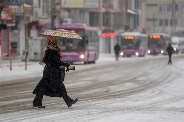 Van'da kar ya