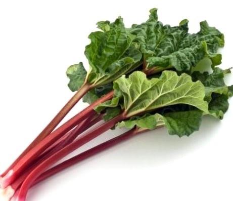 Ravent yapraklar;Bu bitki yapraklarnda oksalik asit denilen bbreklere hasar veren bir madde barndryor.