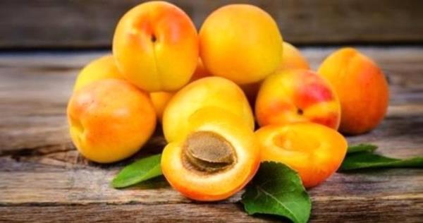 Kays ekirdei;Meyvesi salkl olabilir ama kays ekirdei fazla miktarda tketildii taktirde, bnyesinde barnan siyanojenik glikositler, hidrojen siyanre dnr ve yiyen kiinin lmne sebep olur...