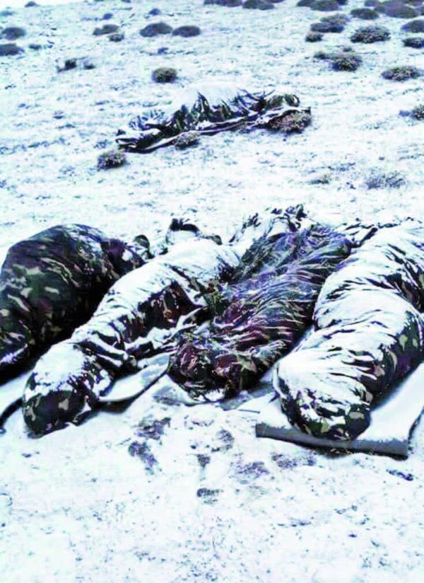 Blgede 4&#8217;l ekilde dalan ve irtibat birbirlerinden hi kesmeyen Mehmetik, mat ve yatak ile dinlenirken zerlerini kapatarak doann bir paras haline geliyor. Yaplan mola sonrasnda kaldklar yerden operasyona devam eden Mehmetik, kilometrelerce yolu yryerek &#8216;vatan sa olsun&#8217; szyle yzlerinden tebessm eksik etmeyerek morallerini bir an olsun drmyor.