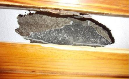 Yaklak yarm asr sonra benzer bir olay Rusya'da yaand.