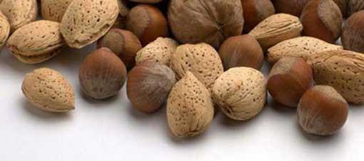 En az tketilen mamullere bakldnda Trkiye, fndk retimi ve ihracat konusunda dnyada sz sahibi olmasna karn bu rn ok az tketiyor. Yllk kii ba fndk tketimi 1,2 kilogram seviyelerinde bulunuyor. Buna karn ceviz, yllk yaklak 3 kilogramla Trk insann en ok tkettii yemiler arasnda yer alyor. 2011-2012 dnemini kapsayan yllk retim ve kii bana tketim miktarlar yle: