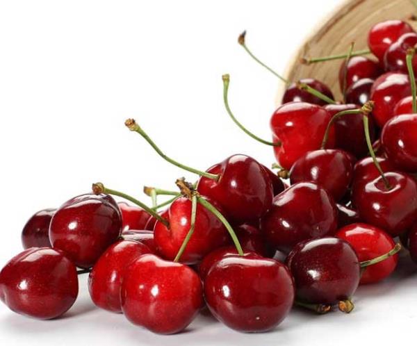 <p><b>Kiraz</b></p>  Kii Bana Tketim (kg): 4.4