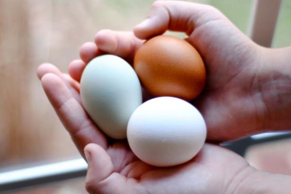 karn iki yumurtay omlet yapn, melemen yapn, olmad halayn akam yemek niyetine tketin. Merak etmeyin akam yediiniz tka basa yemek kadar sizi tok tutacaktr. Tabi yanna abartl ekmek tketmeyin.