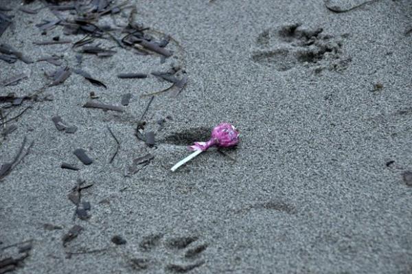 Yunanistan'n Midilli Adas'na gitmek iin zmir'in Dikili ilesi Salihleralt mevkisinden denize alan gmenleri tayan bot, Ayvalk'n Altnova Mahallesi aklarnda dn batmt.  <br>  Olayda 36 kiinin yaamn yitirdii bildirilmiti. Faciada u ana kadar 30 cesede ulalrken, 12 gmen de kurtarlmt.    Havann kararmasyla ara verilen arama kurtarma almalarna ise sabah erken saatlerinde yeniden baland.    Sahil gvenlik ekiplerinin denizden, jandarmann ise kydan balatt almalar, blgedeki hava koullar nedeniyle glkle yrtlyor.    zmir'den gelen Sahil Gvenlik&#8217;e bal timin yapt alma sonucunda ime bot denizden karlarak jandarma ekiplerine teslim edildi.  Gmenlere ait ekmek paralar, st ieleri, antalar, yardm ars iin kullanlan ddkler, ayakkab ve giysilerin de kyya vurduu grld.    Sahilde bulunan malzemeler arasnda bir ocuk iin alnan ekerin de olduu gzlendi.    Bu sahne, akllara nl air Nazm Hikmet'in Hiroima'ya atlan atom bombas iin yazd "Kz ocuu" iirini getirdi.     Nazm Hikmet, iirini "ocuklar ldrlmesin, eker de yiyebilsinler" szleriyle bitirmiti.