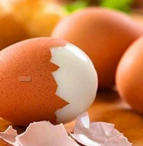 Uzun sre halanan yumurta uzun zamanda tlecei iin vcudun harcad enerji miktar yumurtadan daha fazladr. Halanm yumurta bu yzden ok iyi bir diyet yemeidir.