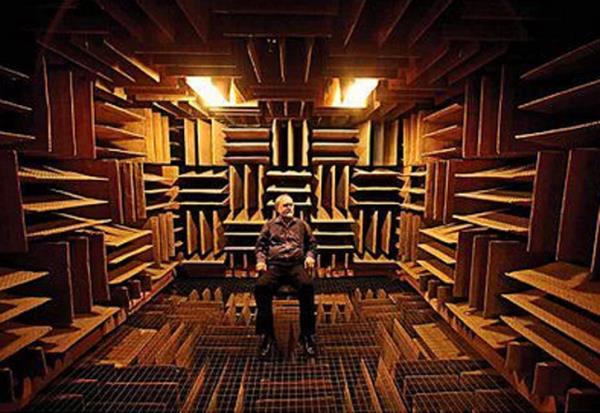 Dnyann en sessiz yeri, Orfield Laboratuarlarndaki yank odas.  Ses dalgalarnn %99.99'unu absorbe edebilen yaps ile insanlar gerekten ok ilgin bir ekilde etkiliyor. O kadar sessiz ki, kendinizi duymaya balyorsunuz. Kalp atnz, midenizden gelen sesler, nefes al veriiniz, hatta kannzn pompalanmasnn ve aknn sesi.  Yeteri kadar vakit geiren denekler, dengelerini kaybedip halisnasyon grmeye balamlar. 45 dakikadan fazla dayanansa olmam...