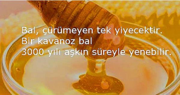 Bir kavanoz bal 3000 yl saklayabilirsiniz...