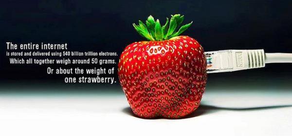 Tm Internet 540 Milyar Trilyon (10 zeri 21) Elektron ile birbirine bal. Toplam arlklar yaklak 1 ilek kadar...