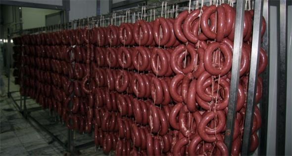 lenmi et ve et rnleri