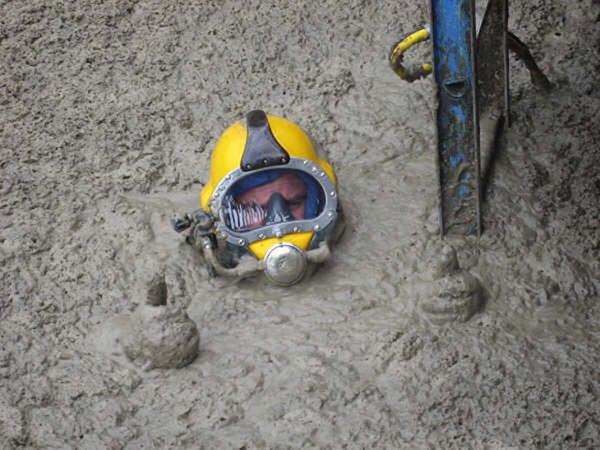 Brendan Walsh, profesyonel bir dk dalgc.