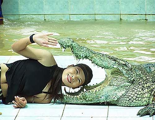 Safari Park Elendirme Elemen