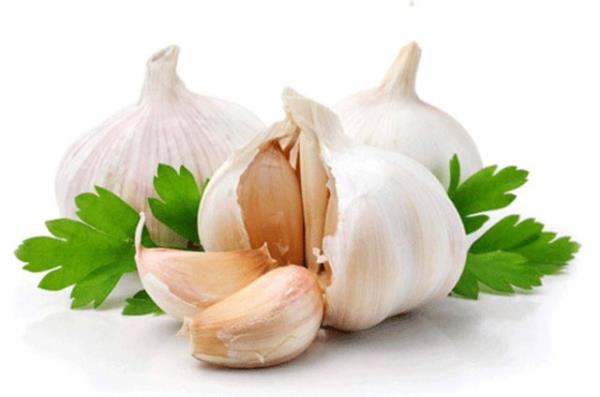 SARIMSAK<br>  Doranm ya da doranmam sarmsaklar derin dondurucuda uzun bir sre saklamanz mmkn.