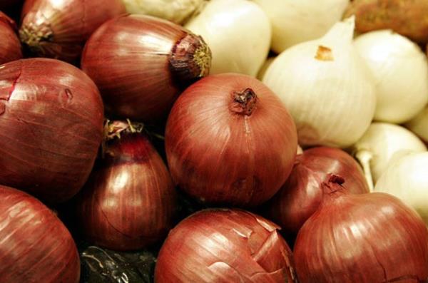 SOAN<br>  Yemeklik doranm ancak artan soan dkmek yerine uzun bir sre derin dondurucuda saklayp daha sonra kullanabilirsiniz.