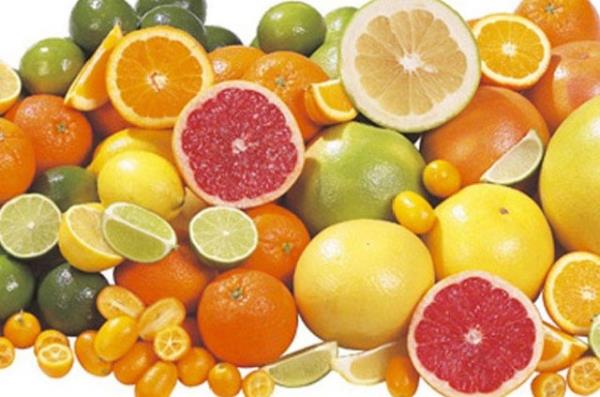 NARENCYE<br>  Limon, greyfurt, mandalina ya da portakal; bunlar derin dondurucuya atp uzun sre saklayabilirsiniz.