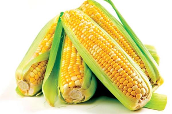 Msr koann soymadan derin dondurucuda 1 yl saklayabilirsiniz. Ayrca msr haladktan sonra da buzdolabnda saklayabilirsiniz.