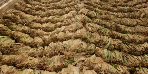 Vcudunuzun en nemli organ olan beyninize kan gitmesini engeller...