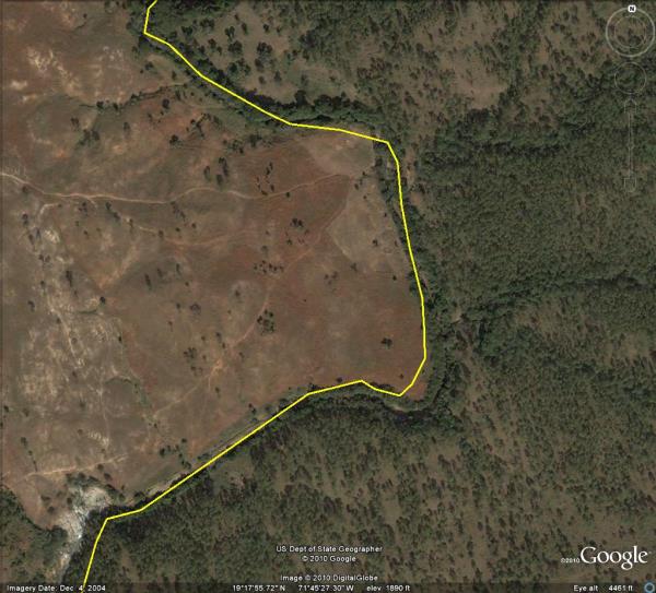 Ve uydudan ekilmi bir detay daha. Bu olayn ok ilgin bir gerei var. Aslnda ortadaki bu izgi bir orman ayrd gibi iki lkeyi de birbirinden ayryor.