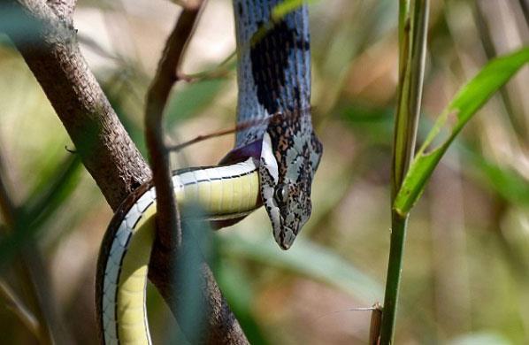 O anlar blgede bulunan amatr bir fotoraf anbean grntledi.